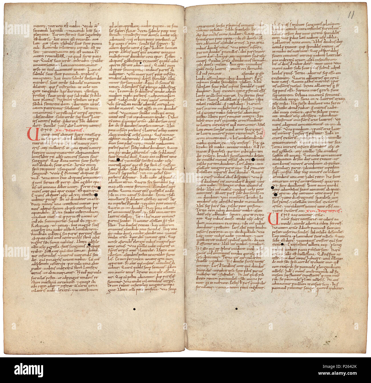 . Pantegni pars prima theorica (lib. I-X) - folios 010v (left) and 011r (right)  .  Lefthand side folio 010v; righthand side folio 011r from an 11th century copy of the Liber pantegni. This is the earliest known copy (prior to 1086) of the Liber pantegni, made at Monte Cassino under the supervision of Constantine the African. It is dedicated to Abbot Desiderius of Monte Cassino (1027-1087), before he became Pope Victor III. Read backgroud information in Dutch and in English. . Constantine the African (ca. 1010-1098/9) 175 Liber pantegni - KB 73 J 6 - folios 010v (left) and 011r (right) Stock Photo