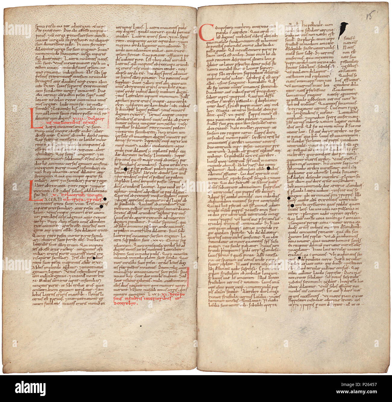 . Pantegni pars prima theorica (lib. I-X) - folios 014v (left) and 015r (right)  .  Lefthand side folio 014v; righthand side folio 015r from an 11th century copy of the Liber pantegni. This is the earliest known copy (prior to 1086) of the Liber pantegni, made at Monte Cassino under the supervision of Constantine the African. It is dedicated to Abbot Desiderius of Monte Cassino (1027-1087), before he became Pope Victor III. Read backgroud information in Dutch and in English. . Constantine the African (ca. 1010-1098/9) 175 Liber pantegni - KB 73 J 6 - folios 014v (left) and 015r (right) Stock Photo