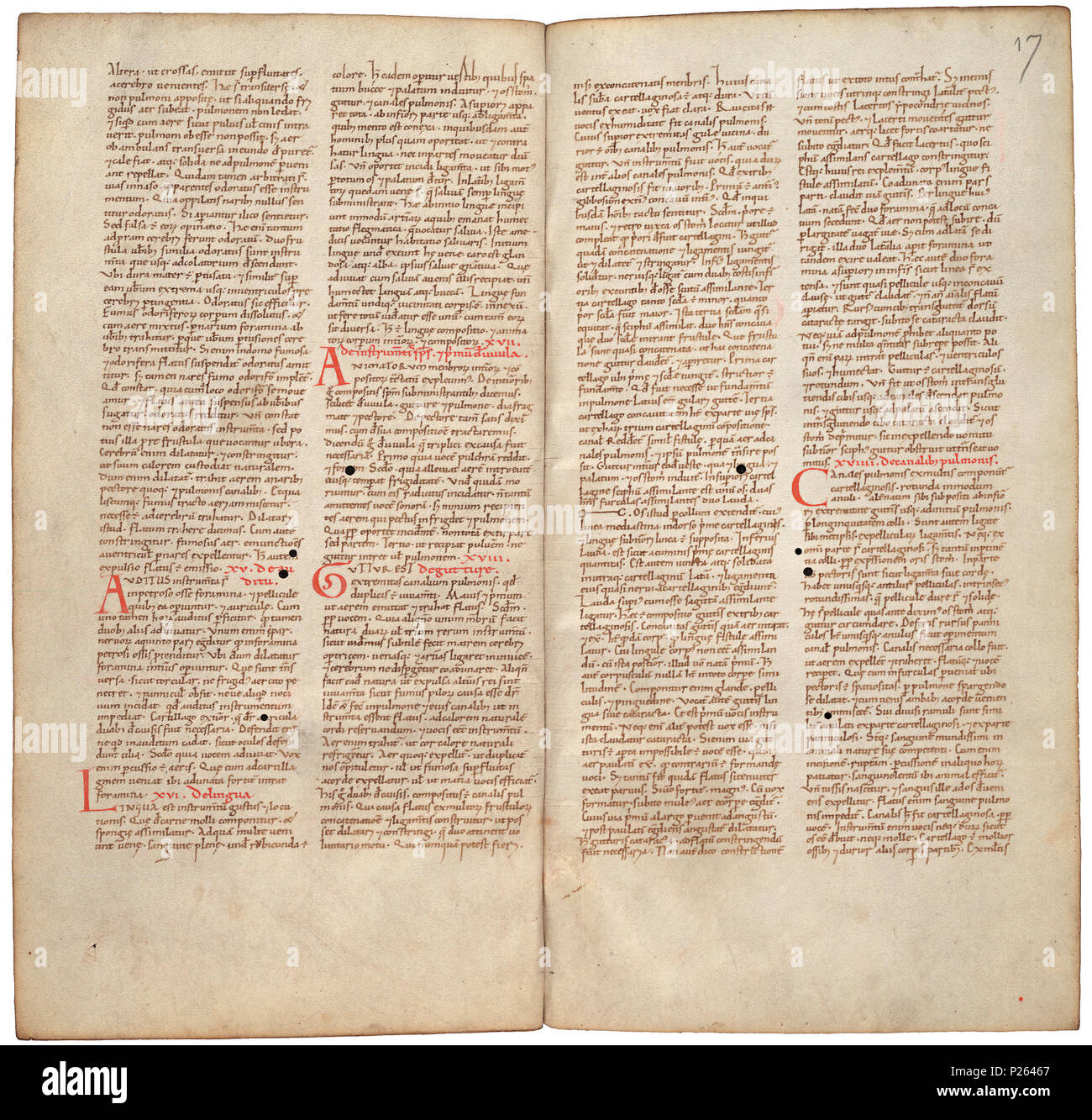 . Pantegni pars prima theorica (lib. I-X) - folios 016v (left) and 017r (right)  .  Lefthand side folio 016v; righthand side folio 017r from an 11th century copy of the Liber pantegni. This is the earliest known copy (prior to 1086) of the Liber pantegni, made at Monte Cassino under the supervision of Constantine the African. It is dedicated to Abbot Desiderius of Monte Cassino (1027-1087), before he became Pope Victor III. Read backgroud information in Dutch and in English. . Constantine the African (ca. 1010-1098/9) 175 Liber pantegni - KB 73 J 6 - folios 016v (left) and 017r (right) Stock Photo