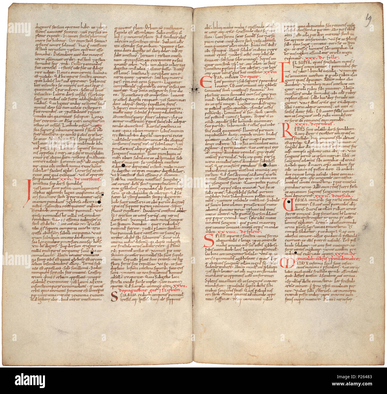 . Pantegni pars prima theorica (lib. I-X) - folios 018v (left) and 019r (right)  .  Lefthand side folio 018v; righthand side folio 019r from an 11th century copy of the Liber pantegni. This is the earliest known copy (prior to 1086) of the Liber pantegni, made at Monte Cassino under the supervision of Constantine the African. It is dedicated to Abbot Desiderius of Monte Cassino (1027-1087), before he became Pope Victor III. Read backgroud information in Dutch and in English. . Constantine the African (ca. 1010-1098/9) 175 Liber pantegni - KB 73 J 6 - folios 018v (left) and 019r (right) Stock Photo