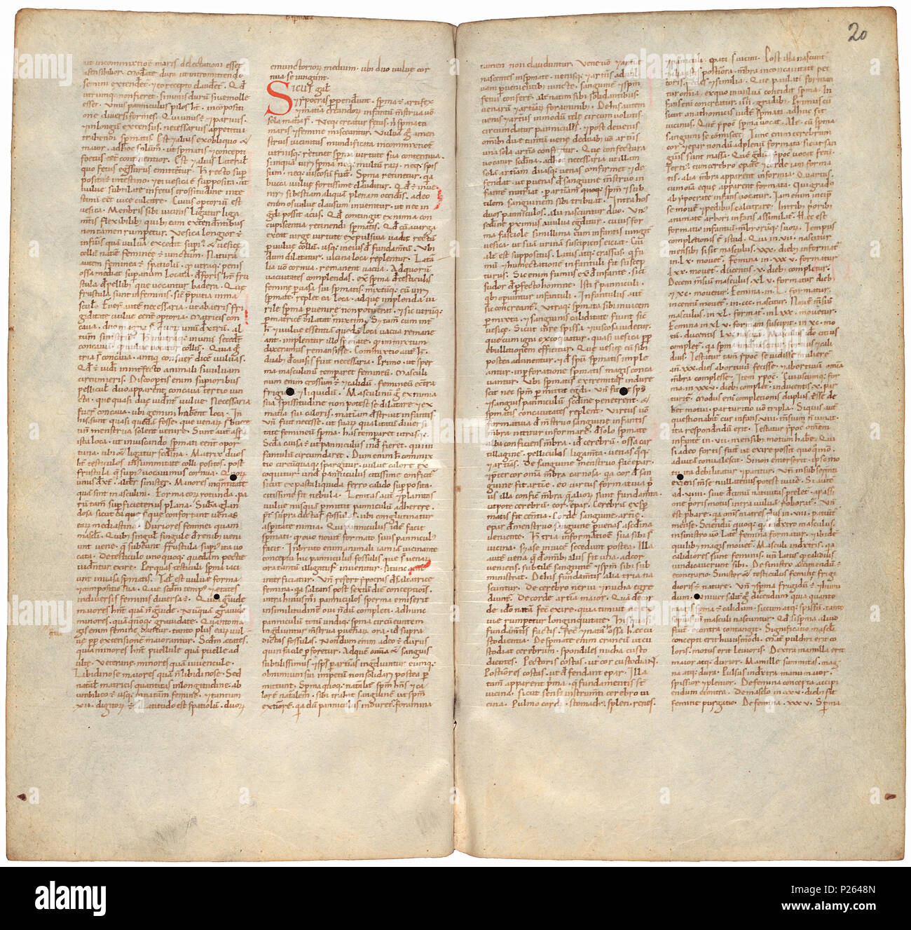 . Pantegni pars prima theorica (lib. I-X) - folios 019v (left) and 020r (right)  .  Lefthand side folio 019v; righthand side folio 020r from an 11th century copy of the Liber pantegni. This is the earliest known copy (prior to 1086) of the Liber pantegni, made at Monte Cassino under the supervision of Constantine the African. It is dedicated to Abbot Desiderius of Monte Cassino (1027-1087), before he became Pope Victor III. Read backgroud information in Dutch and in English. . Constantine the African (ca. 1010-1098/9) 175 Liber pantegni - KB 73 J 6 - folios 019v (left) and 020r (right) Stock Photo