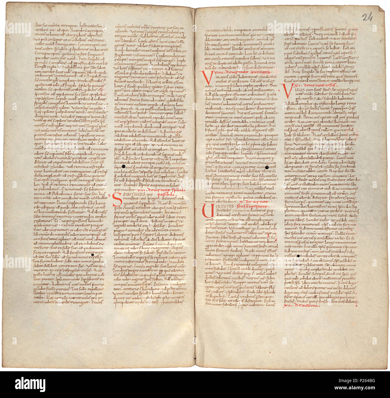 . Pantegni pars prima theorica (lib. I-X) - folios 023v (left) and 024r (right)  .  Lefthand side folio 023v; righthand side folio 024r from an 11th century copy of the Liber pantegni. This is the earliest known copy (prior to 1086) of the Liber pantegni, made at Monte Cassino under the supervision of Constantine the African. It is dedicated to Abbot Desiderius of Monte Cassino (1027-1087), before he became Pope Victor III. Read backgroud information in Dutch and in English. . Constantine the African (ca. 1010-1098/9) 175 Liber pantegni - KB 73 J 6 - folios 023v (left) and 024r (right) Stock Photo