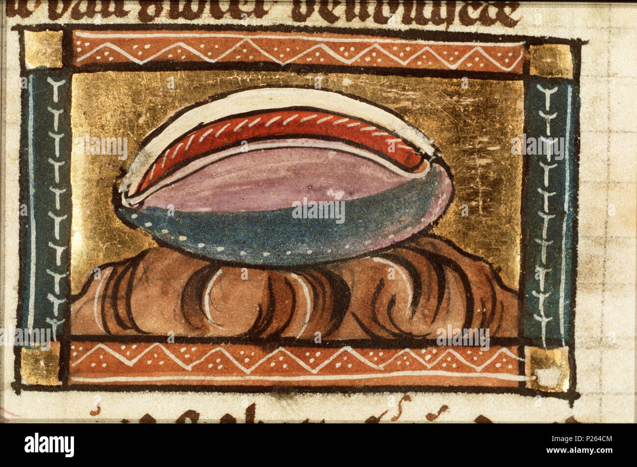 . Murices (shellfish yielding a purple dye) - miniature from folio 118r from Der naturen bloeme (KB KA 16) by Jacob van Maerlant .  Murices (shellfish yielding a purple dye) - miniature from folio 118r from Der naturen bloeme (KB KA 16) by Jacob van Maerlant Topics depicted in this miniature Molluscs: murex (25F72(MUREX))   This miniature is part of the righthand side folio 118r  . between circa 1340 and circa 1350.    Thomas of Cantimpré  (1201–1270)    Alternative names Thomas of Cantimpre  Description hagiographer, writer and priest  Date of birth/death 1201 1270  Location of birth Sint-Pie Stock Photo