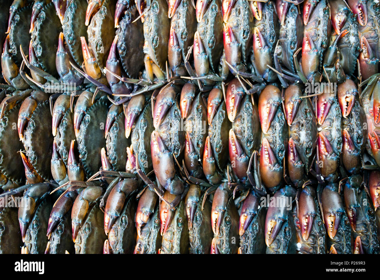 Stack of fresh live crabs at Ben Thanh Market located in District 1, Ho Chi Minh City, Vietnam. Stock Photo