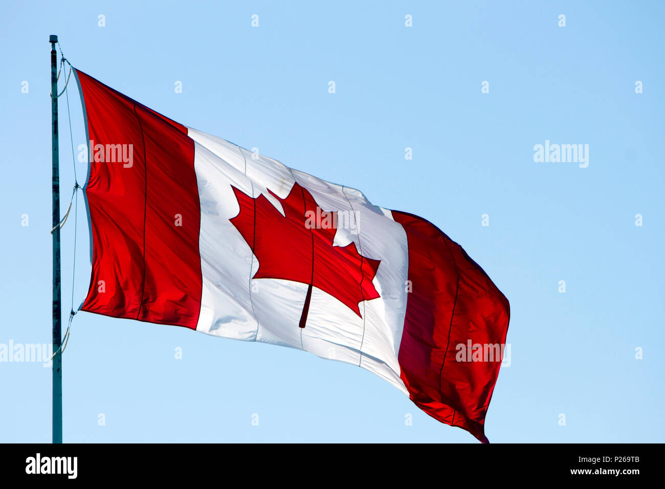 Canadian flag blowing in the wind with blue sky and copy space. Stock Photo