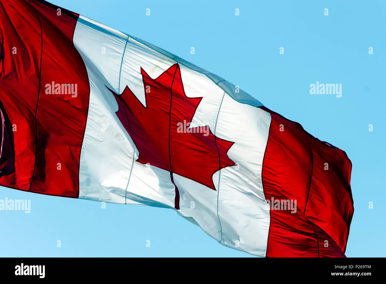 Canadian flag blowing in the wind with blue sky and copy space. Stock Photo