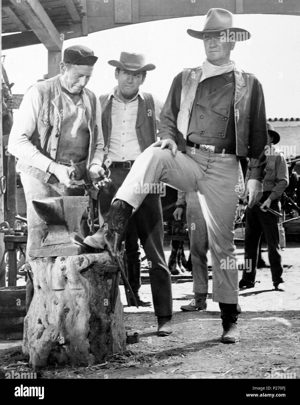 The Sons Of Katie Elder Cast