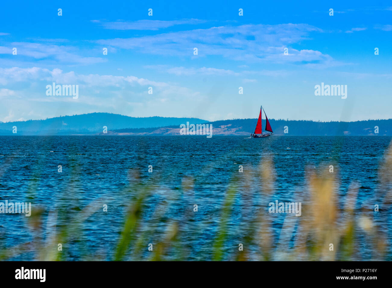 Sailing in Puget Sound Stock Photo - Alamy