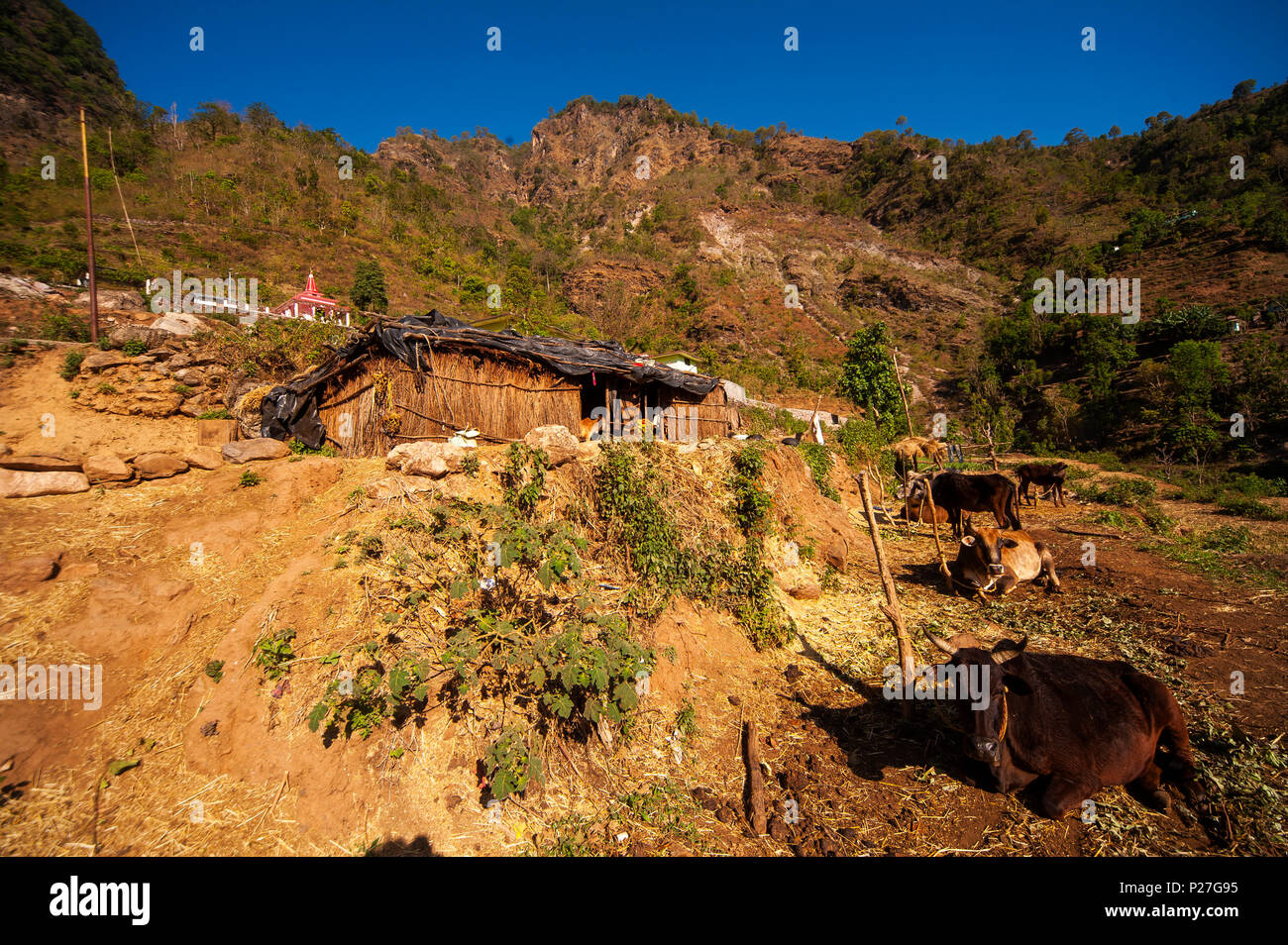House at Kundal village, Nandhour Valley, Kumaon Hills, Uttarakhand, India Stock Photo