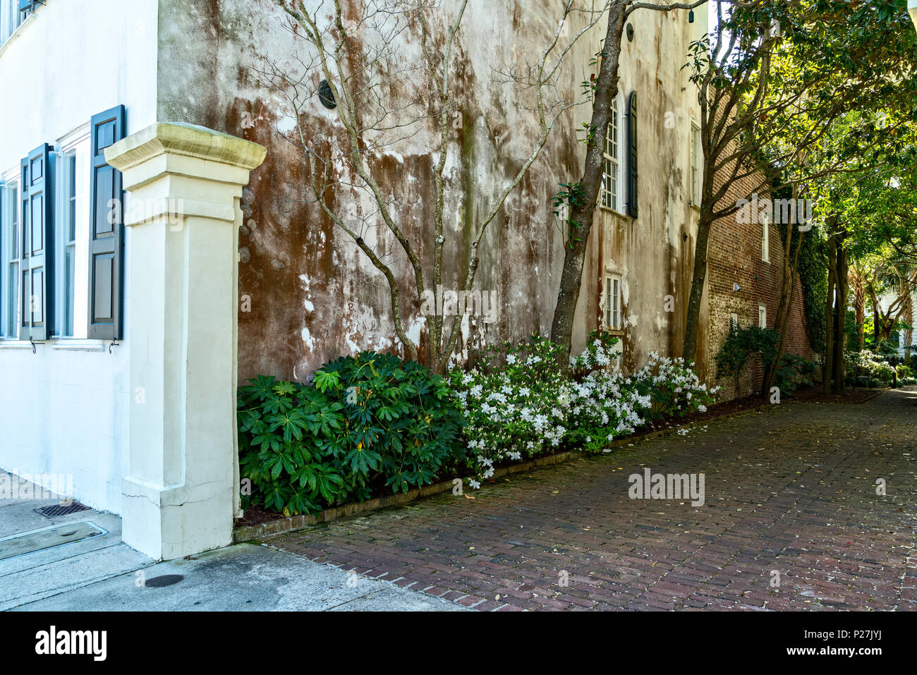 Charleston, SC, USA.   Historical District Alley Showing Bushes and Trees against a Weathered Wall of a Restored Mansion. Stock Photo