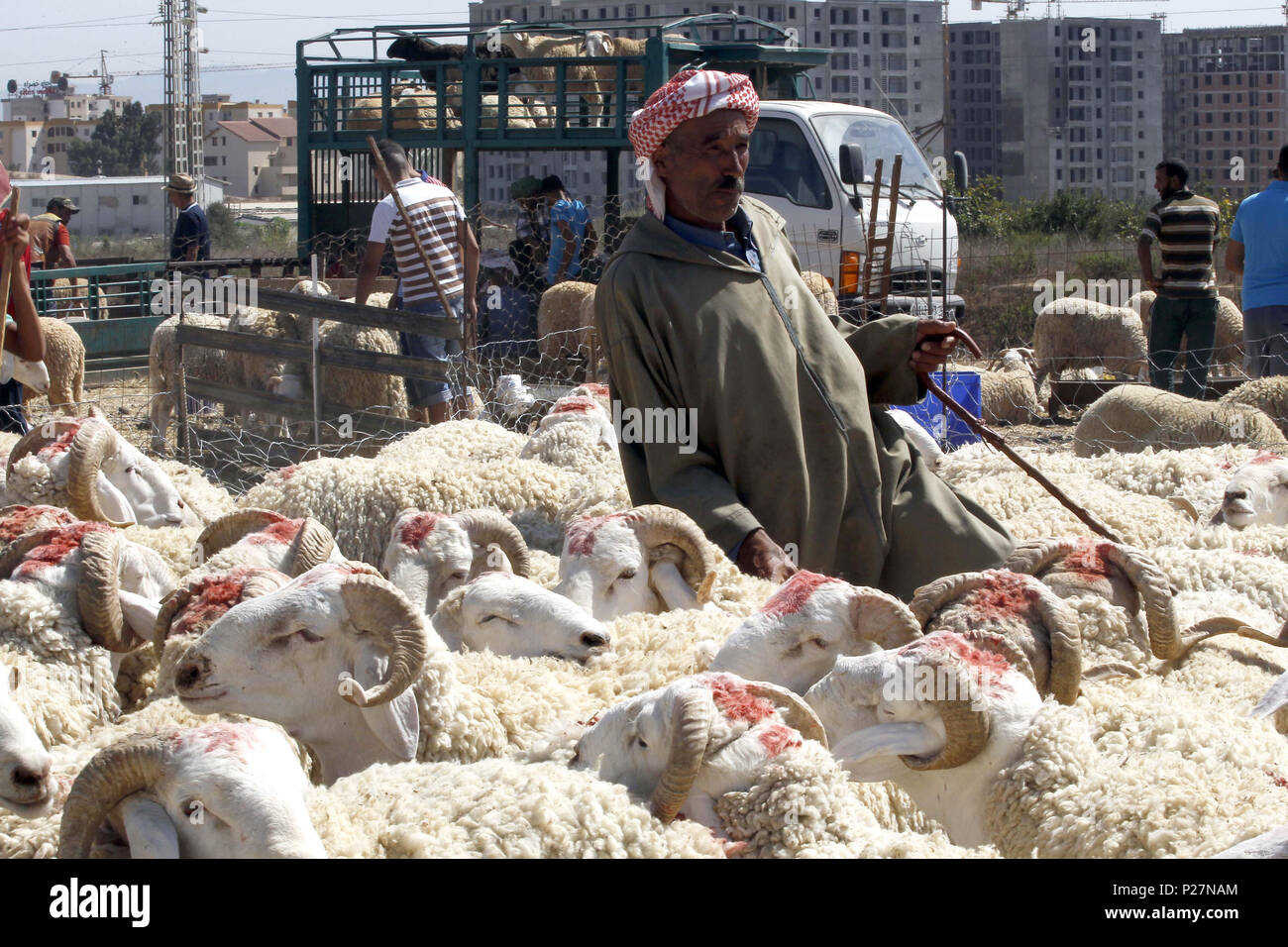 Eid Al Adha Stock Photos & Eid Al Adha Stock Images - Alamy