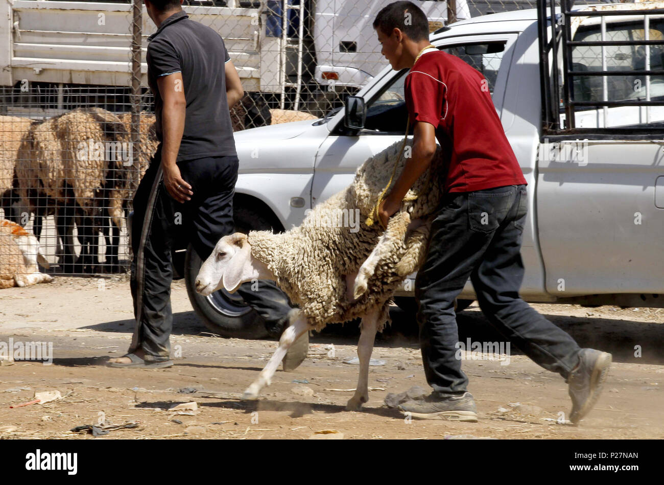 Eid Al Adha Stock Photos & Eid Al Adha Stock Images - Alamy