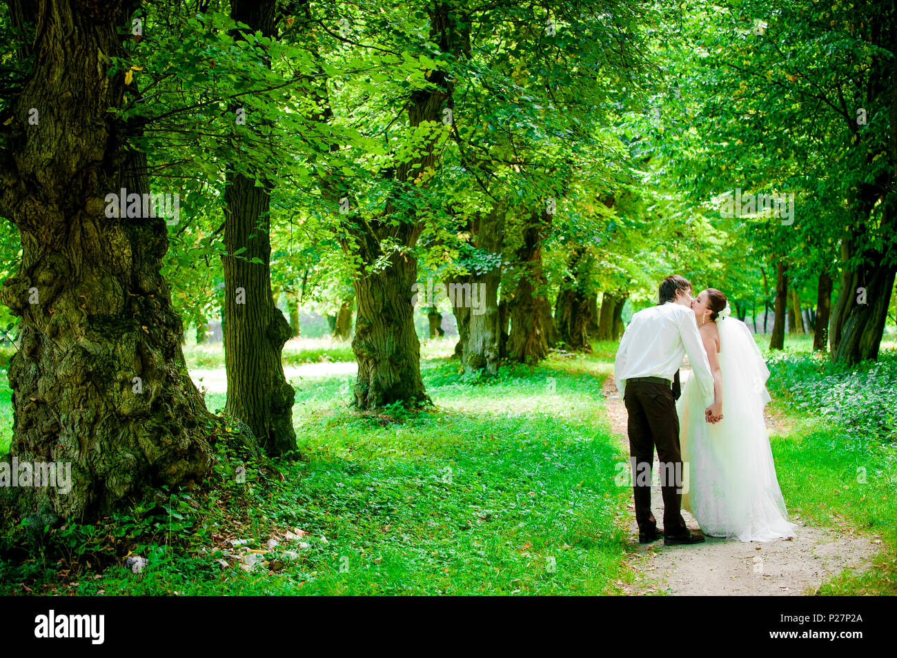 happy bride and groom on a walk in a beautiful forest, true love Stock ...