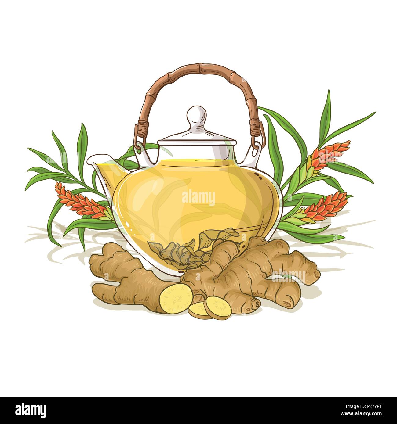 ginger tea in teapot illustration on white background Stock Vector