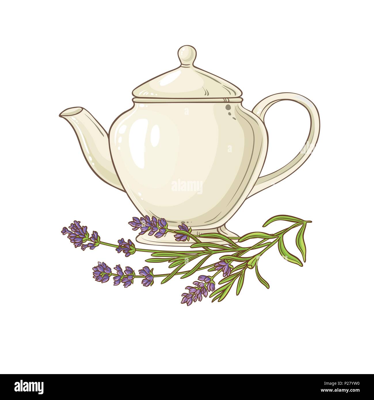 lavender tea in teapot illustration on white background Stock Vector