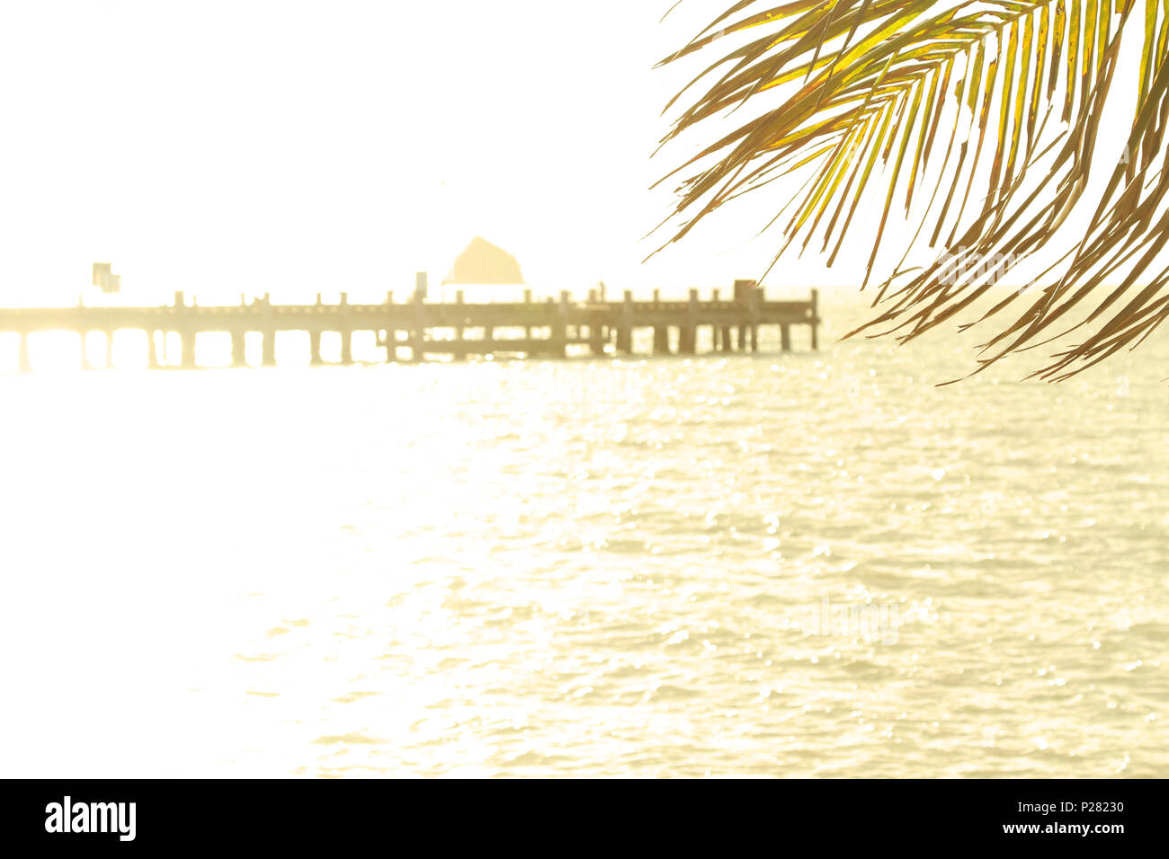 golden morning sunrise at palm cove far north Queensland. Palm Cove jetty near cairns. Start of the ironman race event. Tourism far north QLD. Stock Photo