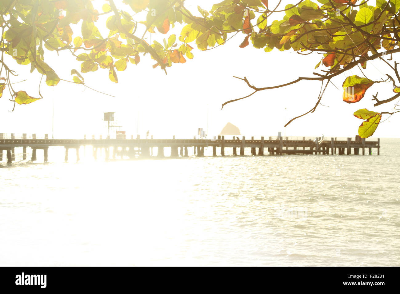 golden morning sunrise at palm cove far north Queensland. Palm Cove jetty near cairns. Start of the ironman race event. Tourism far north QLD. Stock Photo