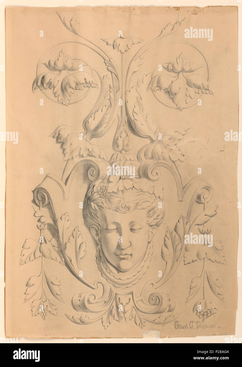 .  English: Drawing, Rendering of a Panel of Relief Sculpture, 1901 .  English: Vertical rectangle. A relief composed of a woman's head, shown full-face, acanthus leaves, scrolls. Signed and dated, lower left. 'Gilbert C. Tompkins. 1901.' . 1901 107 Drawing, Rendering of a Panel of Relief Sculpture, 1901 (CH 18392249) Stock Photo