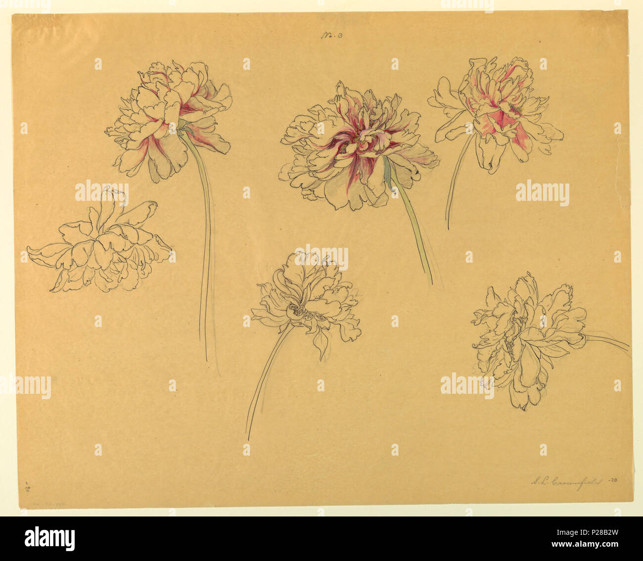 Tinted Drawing Hi Res Stock Photography And Images Alamy
