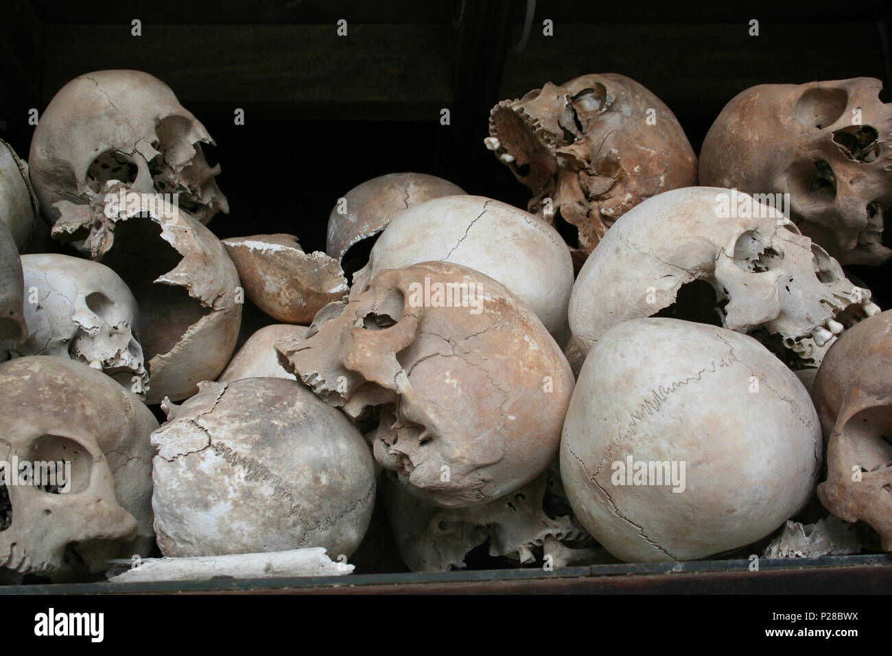 Human Skulls in killing fields Stock Photo
