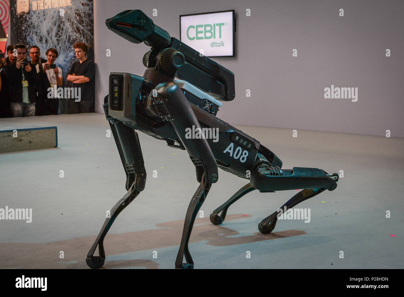 Hanover, Germany. 13th June, 2018. Marc Reibert, founder of Boston Dynamics,  presented the SpotMini robot at CeBIT 2018 in Hanover. SpotMini is a small  four-legged robot with the ability to pick up