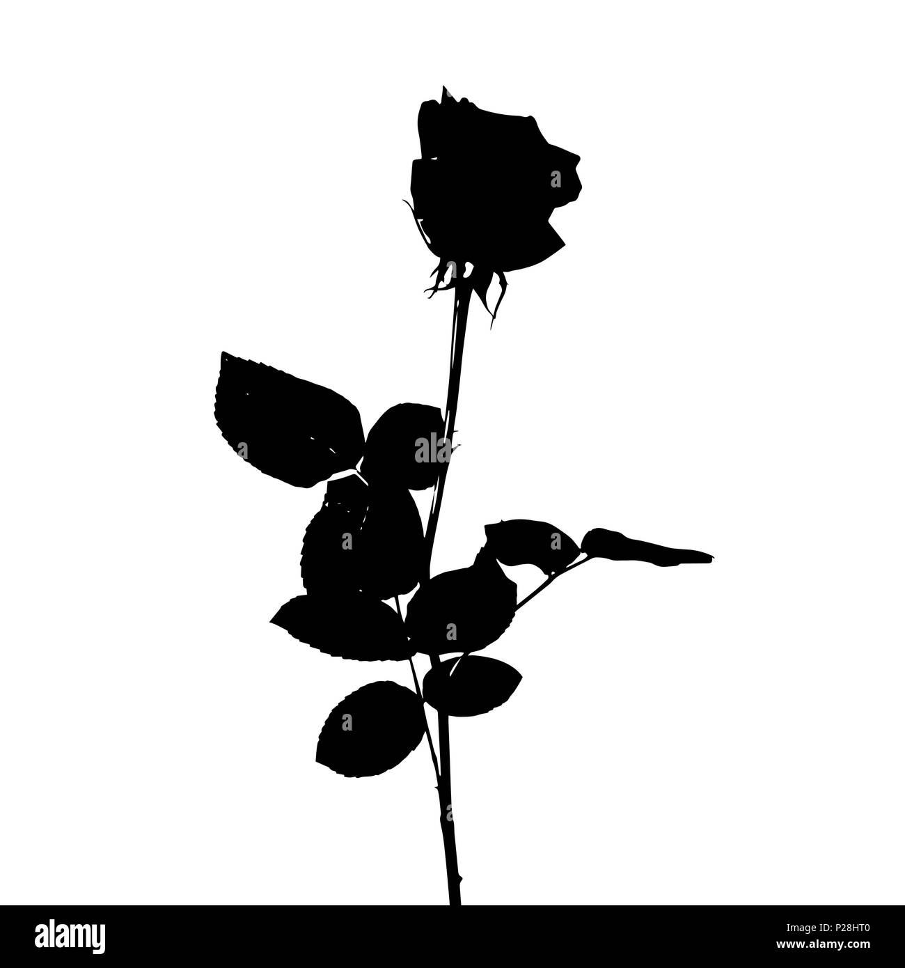 Black and white silhouette of rose. Isolated on White Background. vector Illustration Stock Vector
