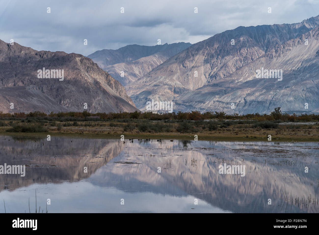 Mountain range reflection in the water at Nubra Valley. Leh Ladakh, India. Stock Photo