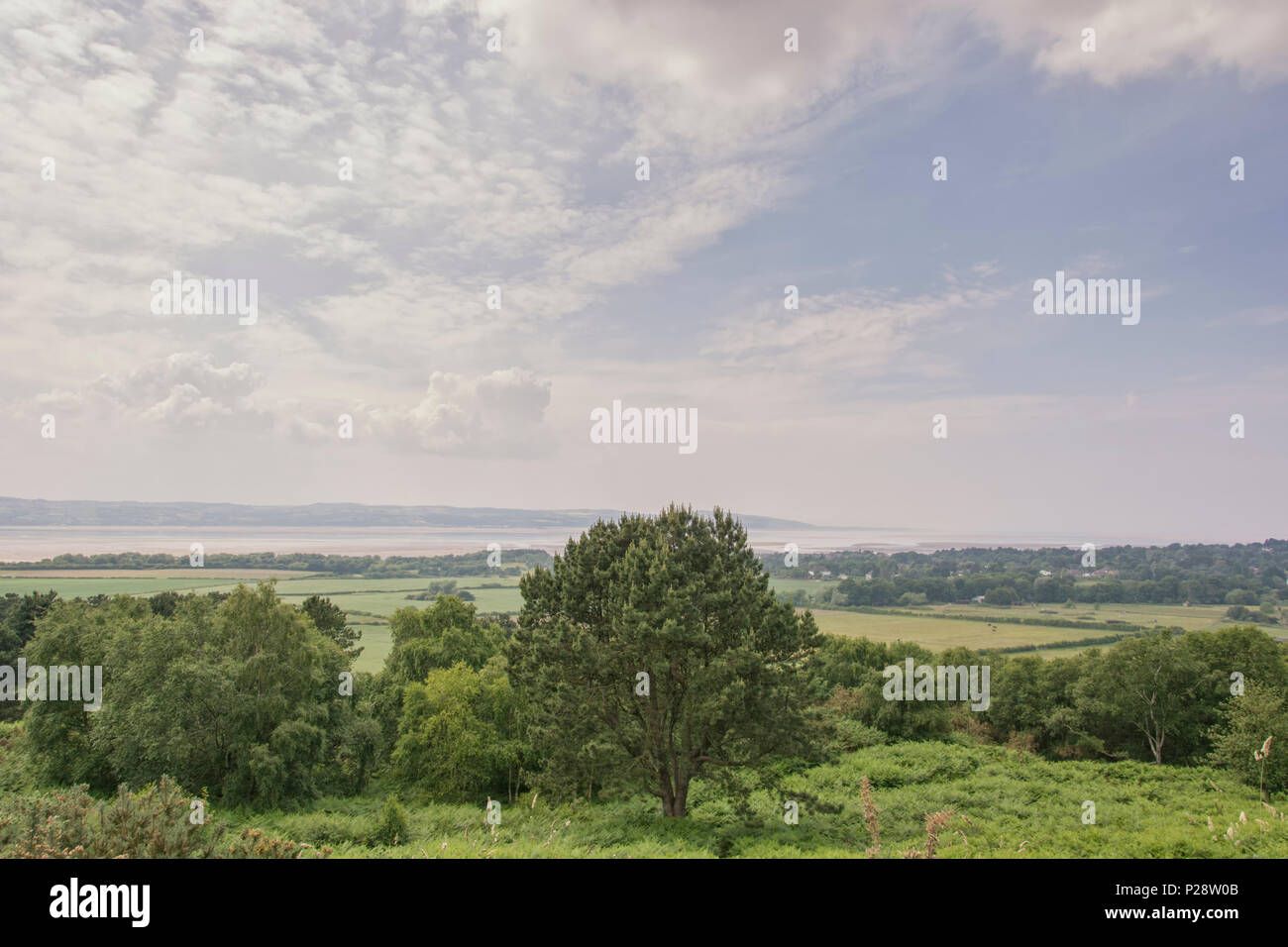 Red Rock Country Park Wirral UK Stock Photo Alamy