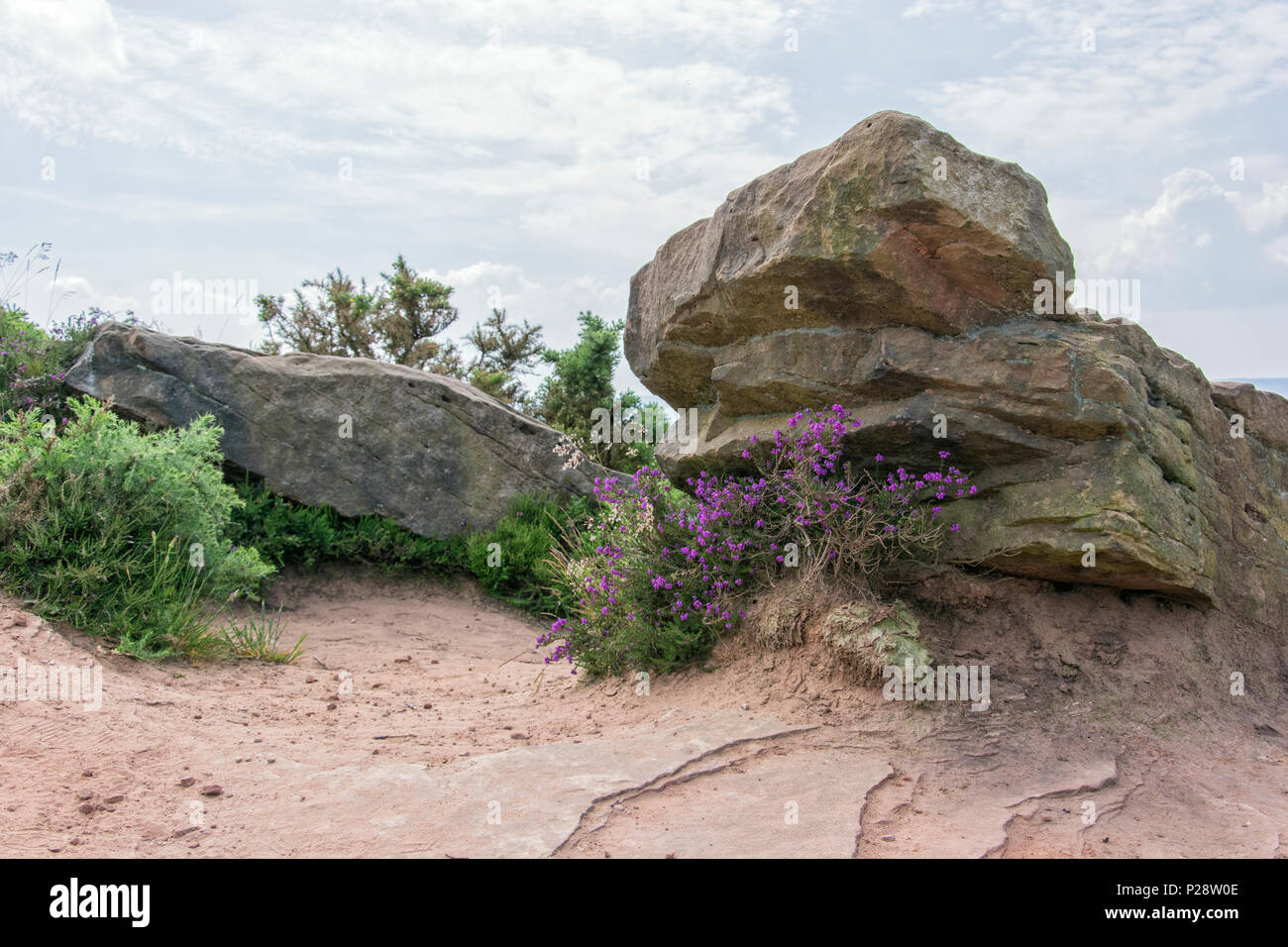 Red Rock Country Park Wirral UK Stock Photo Alamy
