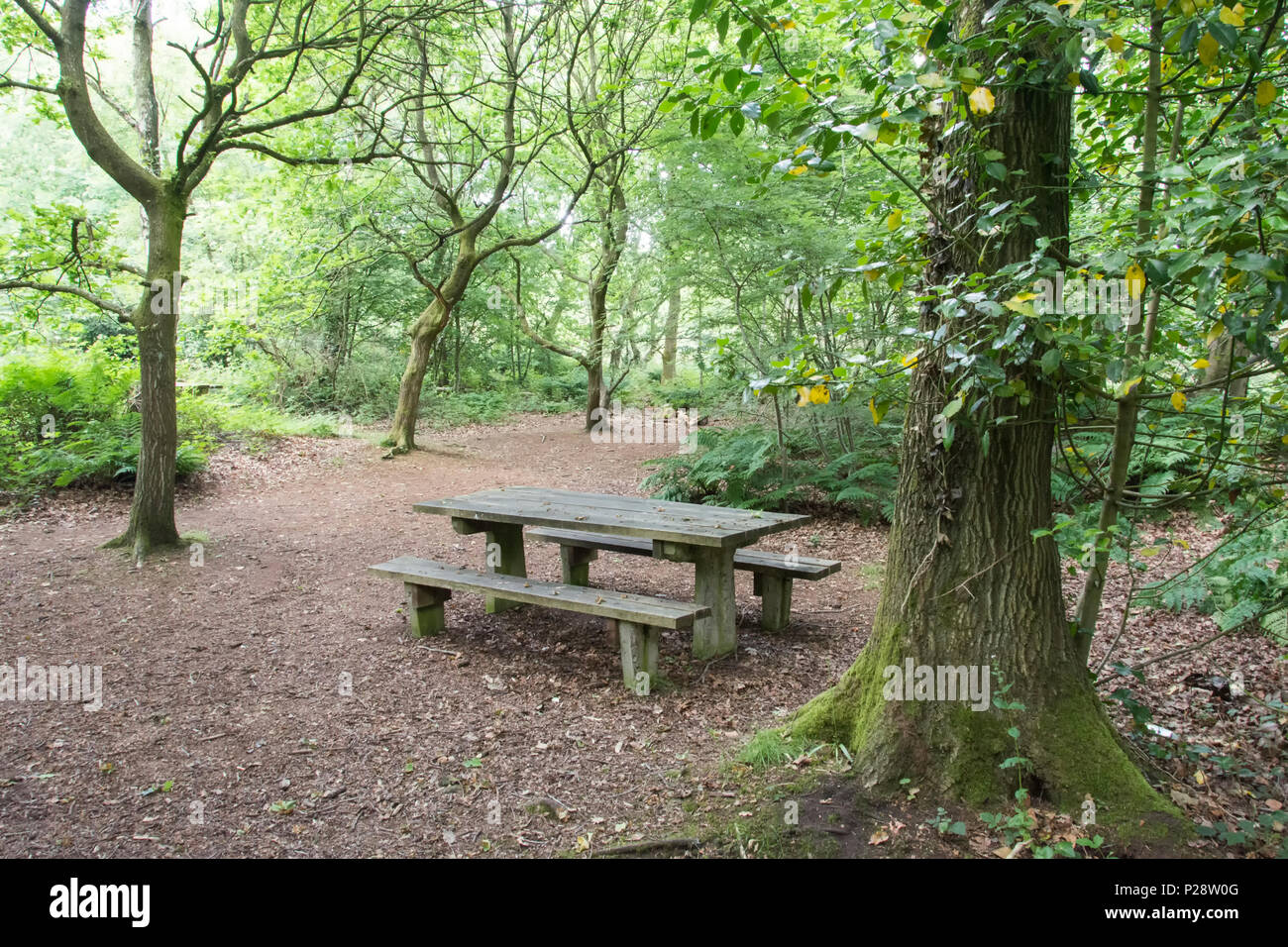Red Rock Country Park Wirral UK Stock Photo Alamy