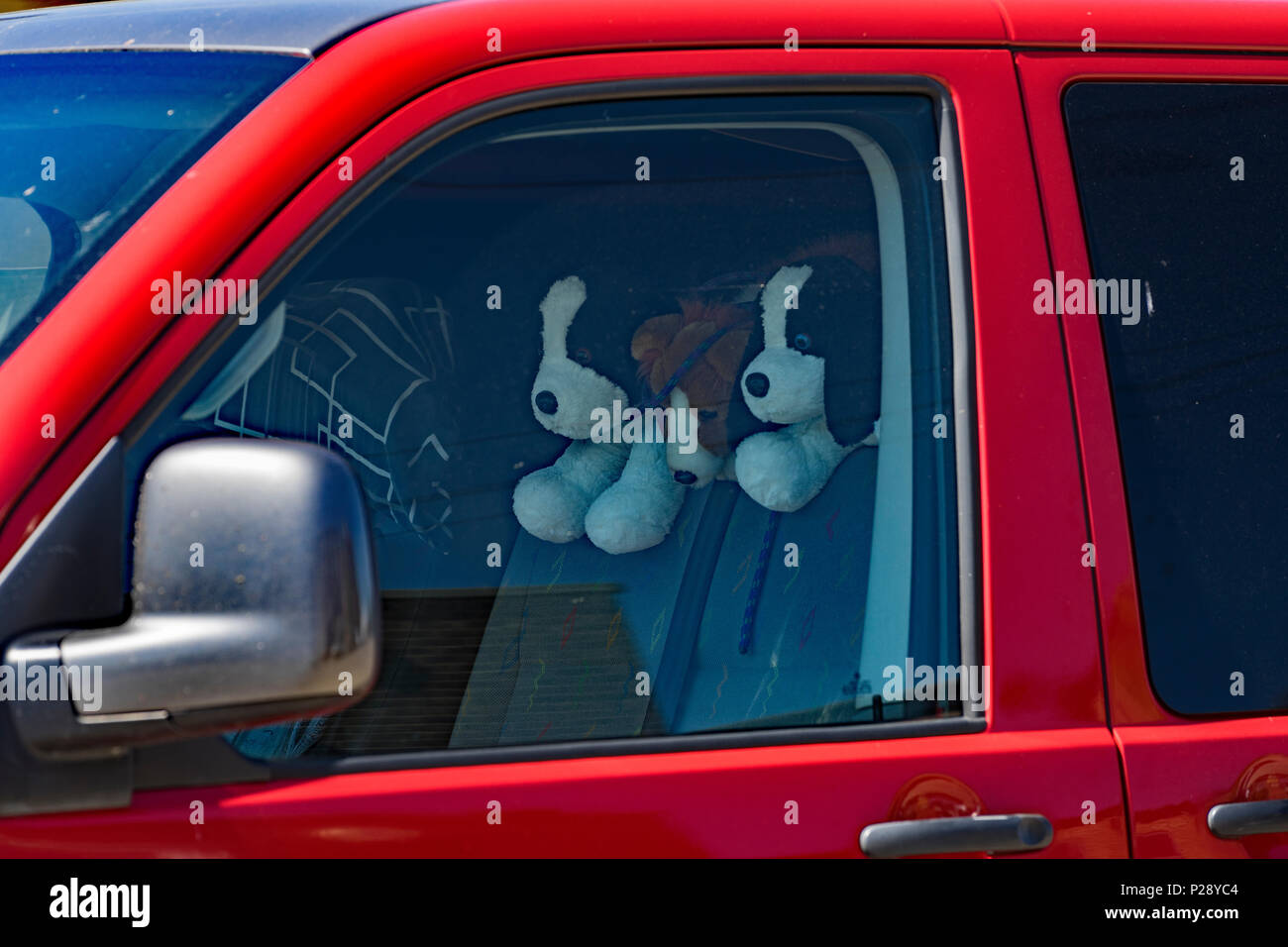 Toy dogs looking over seat in vehicle Stock Photo