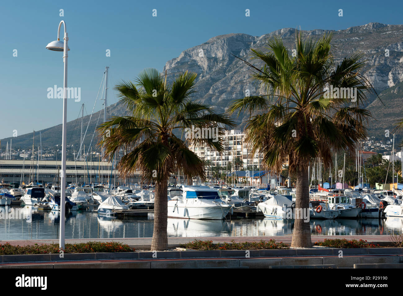 Boats and sailboats at the harbour of Denia in sunset, Denia, Alicante province, Valencia Community, Spain Stock Photo