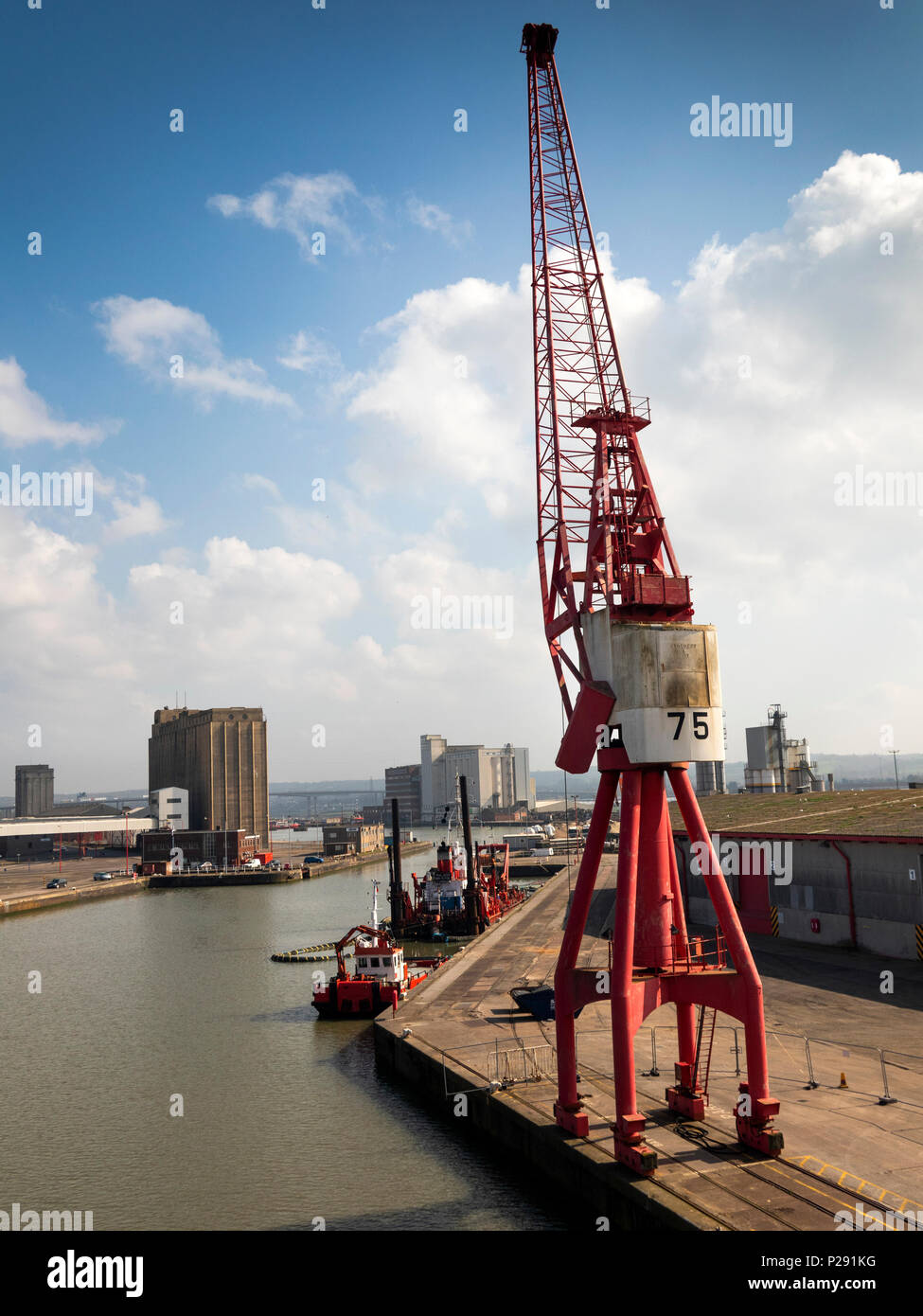 UK, England, Bristol, Avonmouth Docks, quayside crane beside cruise