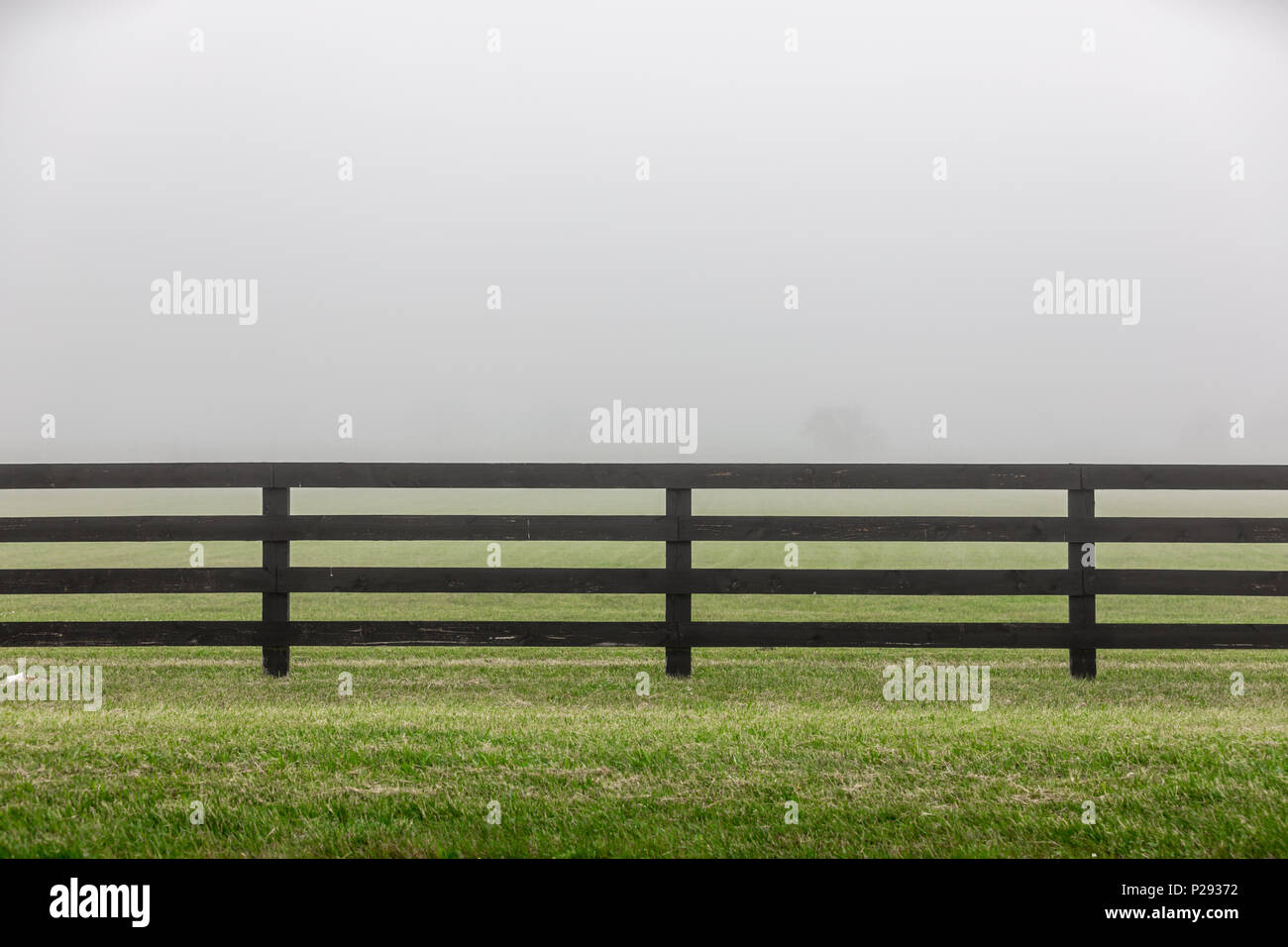 Fog foggy weather day daytime hi-res stock photography and images - Alamy