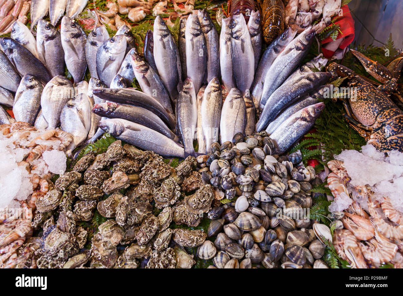 Closeup of assorted seafood and fish at Fish market in Istanbul, Turkey ...