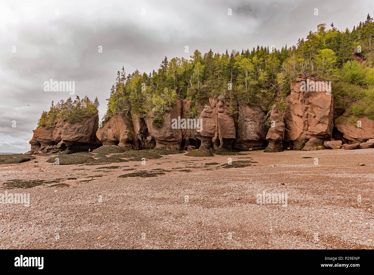 Hopewell Rocks Park, Hopewell Cape, NB, Canada Stock Photo - Alamy