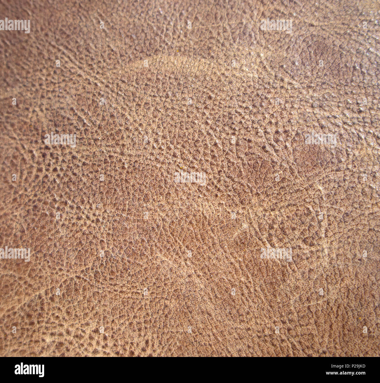 Light brown or beige shabby wrinkled leather texture, may be used as background Stock Photo