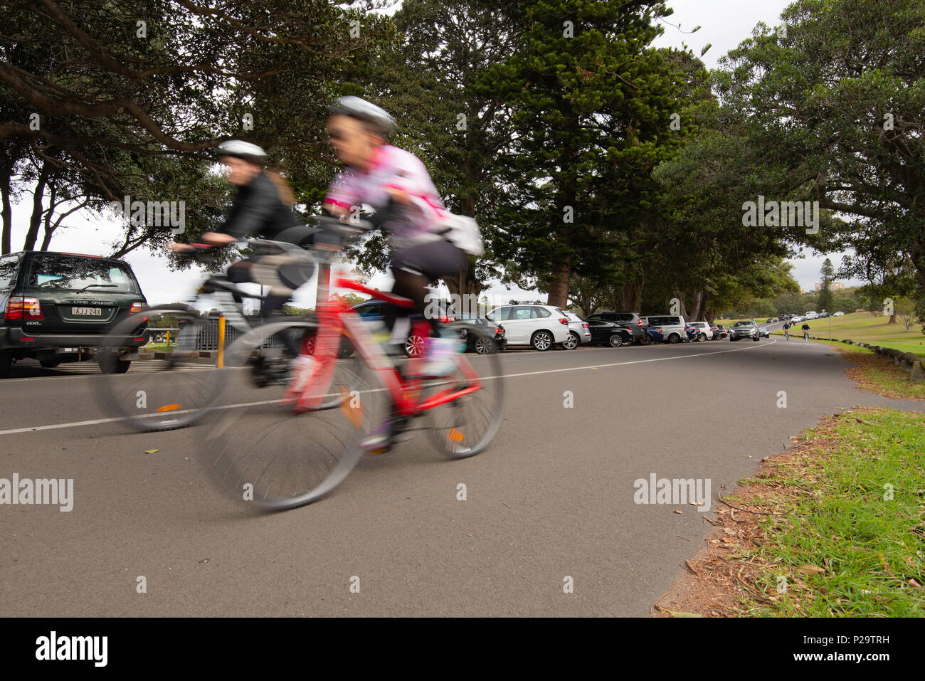 Cyclists riding on a road in Centennial Park in Sydney Australia Stock Photo