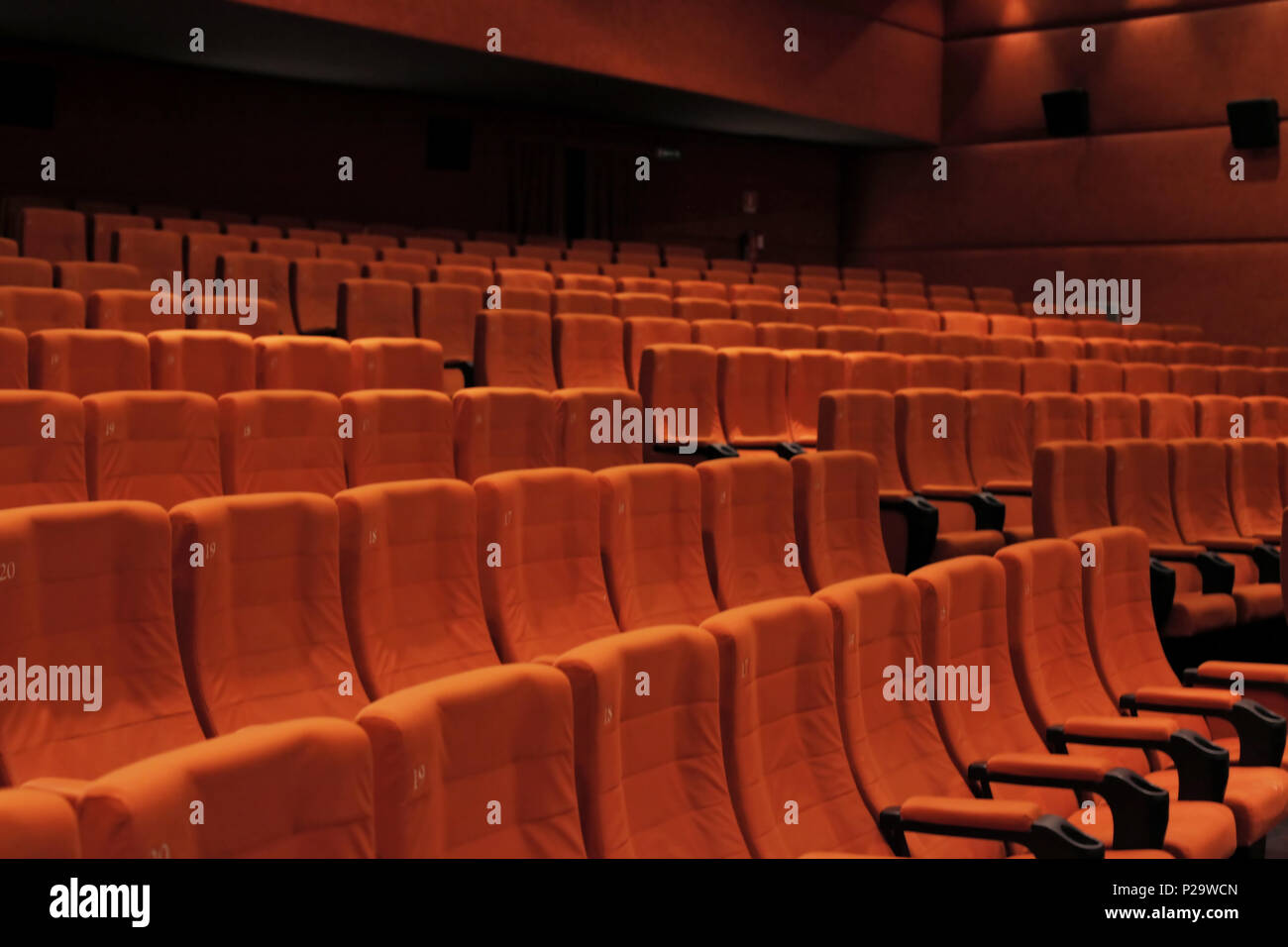 Red velvet seats in row and walls of a cinema or theater / theatre stage. Interior, angled shot. Stock Photo