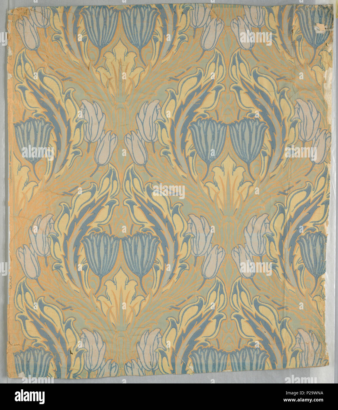 .  English: Sidewall (England), ca. 1890 .  English: Very stylized blue tulips, white tulips and acanthus leaves forming cartouche. Light blue design in background. Appears to be printed on ungrounded paper. Art nouveau in style. . circa 1890 288 Sidewall (England), ca. 1890 (CH 18615667-2) Stock Photo