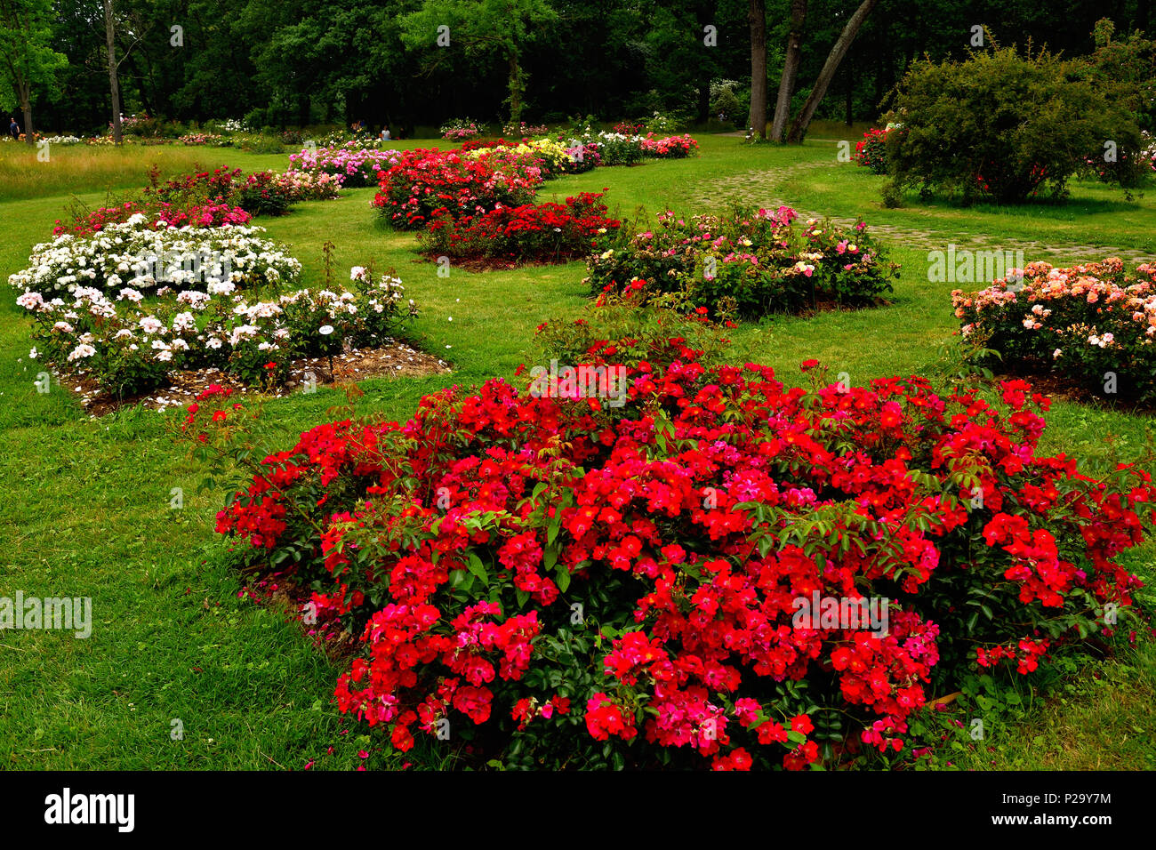 Bois de Boulogne Stock Photo