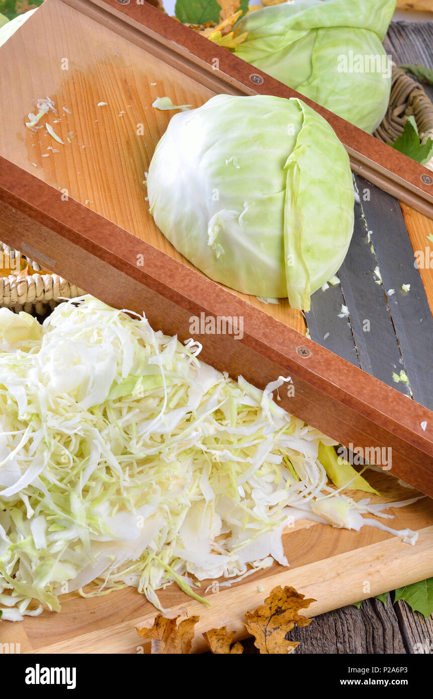 White cabbage sliced for making sauerkraut Stock Photo Alamy