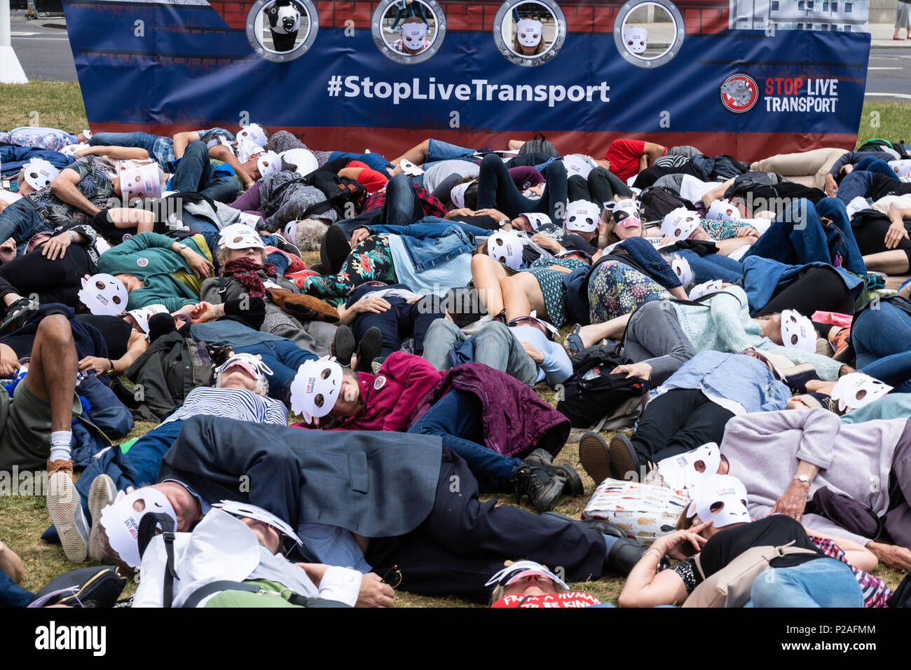 London 14th June 2018, End live animal transport protest on Parliament Square, London a die in by activists, Credit Ian Davidson/Alamy Live News Stock Photo