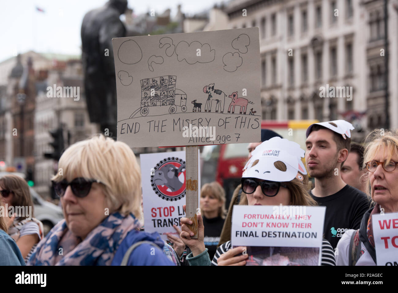London, UK. 14th June 2018. Hundreds of animals rights protestors and MP rally demand to STOP Live Transport 2018 unnecessary suffering in Parliament Square June 14 2018, London, UK. Credit: See Li/Alamy Live News Stock Photo