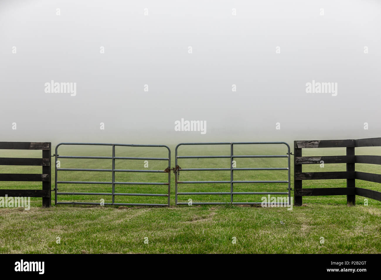 foggy day on a farm in Bridgehampton, NY Stock Photo