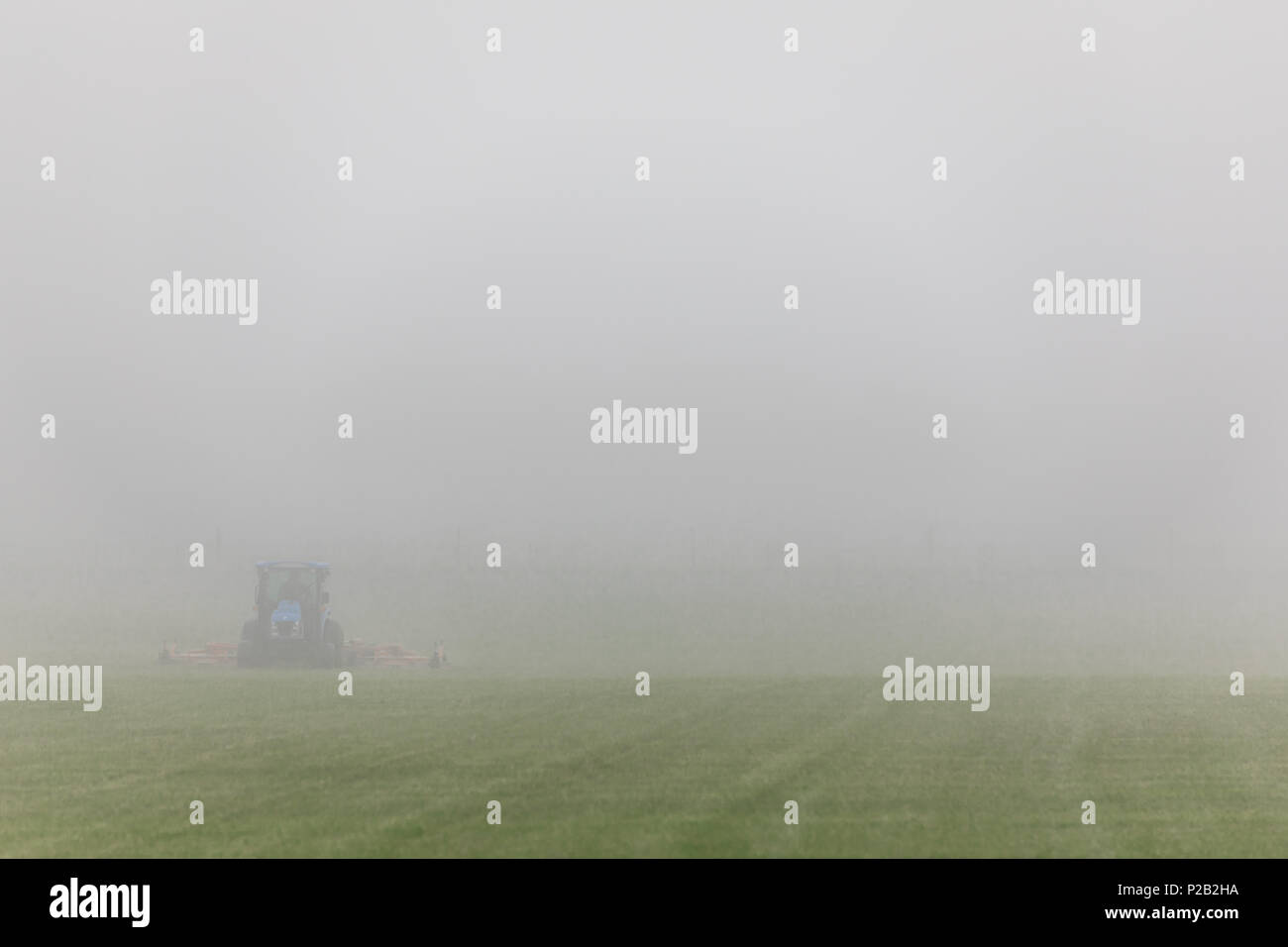 tractor mowing the grass on a very foggy day in in Bridghampton, NY Stock Photo