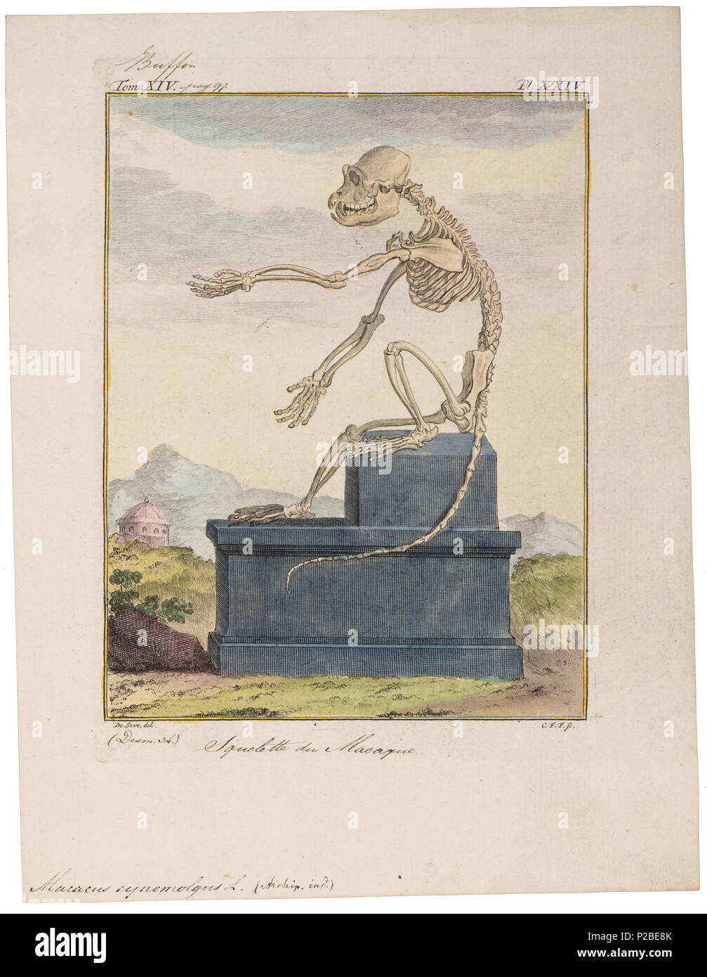 Walthers SceneMaster 8014 20' Corrugated Container with Flat Panel - A –  YankeeDabbler, image size:1007x1390