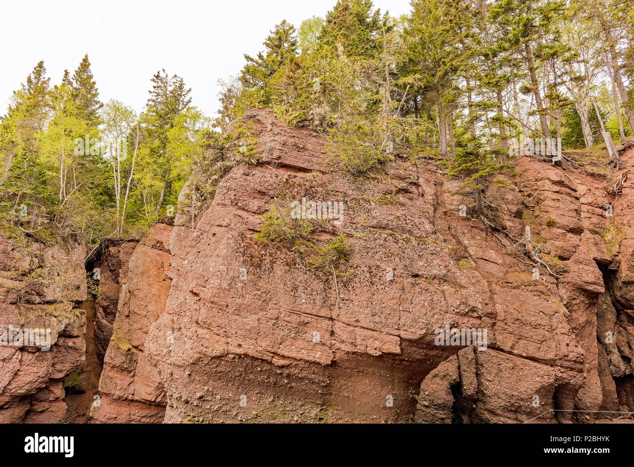 Hopewell Rocks Park, Hopewell Cape, NB, Canada Stock Photo - Alamy