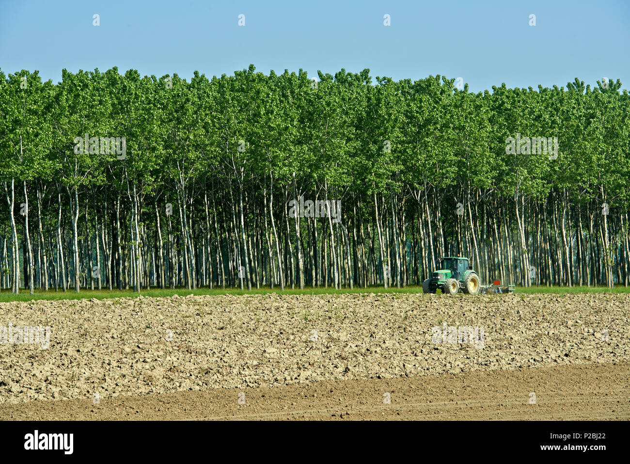 Polesine Parmense (Pr) Italy,  plowing of a cornfield Stock Photo