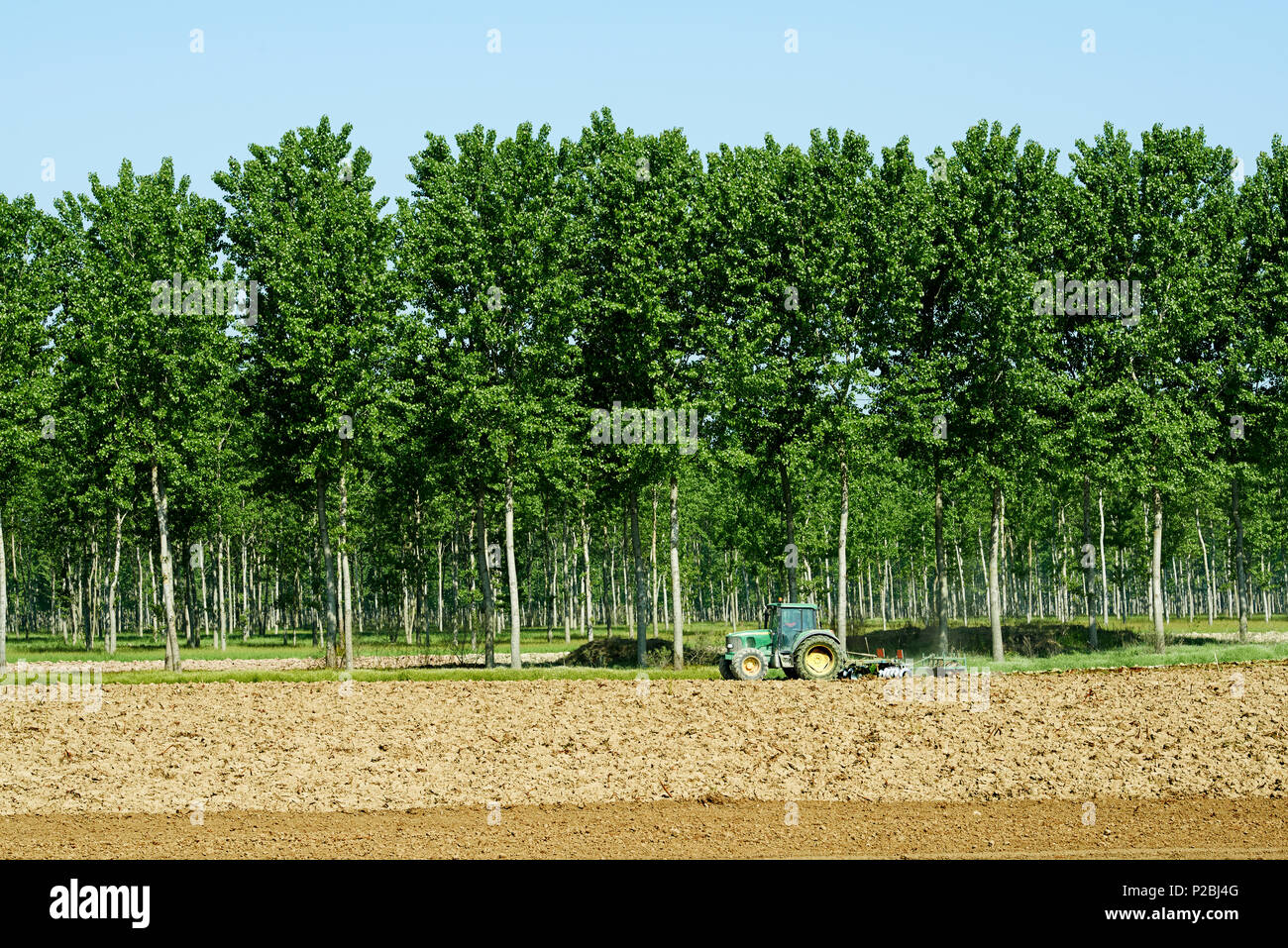 Polesine Parmense (Pr) Italy,  plowing of a cornfield Stock Photo